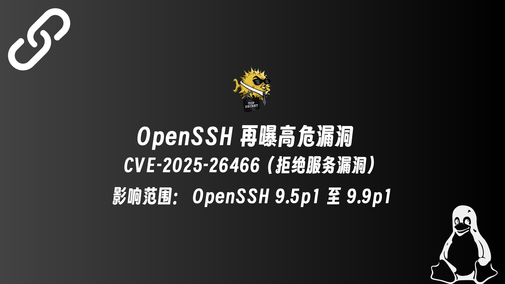 OpenSSH 再曝高危漏洞：CVE-2025-26466（拒绝服务漏洞）-哈德森博客